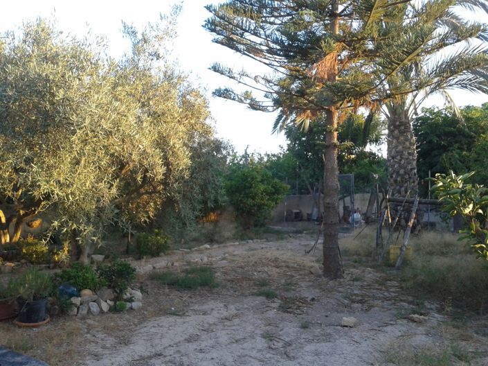 Image No.8-Finca for sale