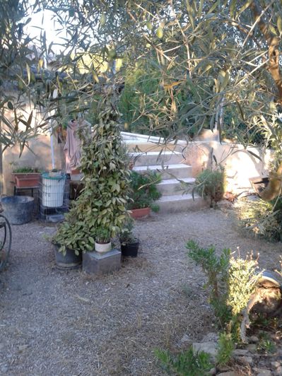 Image No.9-Finca for sale