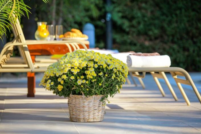 Image No.7-Villa / Détaché de 5 chambres à vendre à Lachi