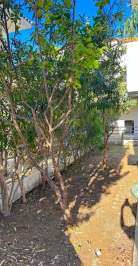 Image No.19-2 Bed Villa for sale