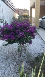 Detached Villa For Sale  in  Konia