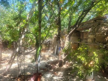 Stone House For Sale  in  Pentalia