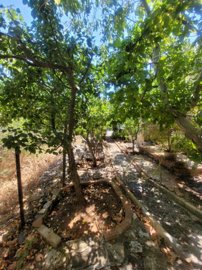 Stone House For Sale  in  Pentalia