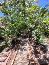 Stone House For Sale  in  Pentalia