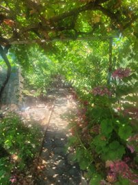 Stone House For Sale  in  Pentalia