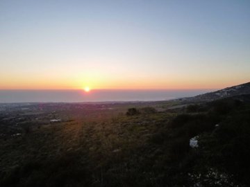 Residential Field For Sale  in  Tsada