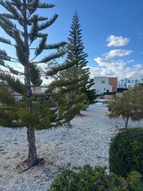 Apartment For Sale  in  Chlorakas