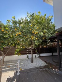 Detached Villa For Sale  in  Pyrgos