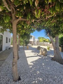 Detached Villa For Sale  in  Kouklia - Secret Valley