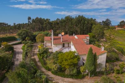 DJI_0531-HDR