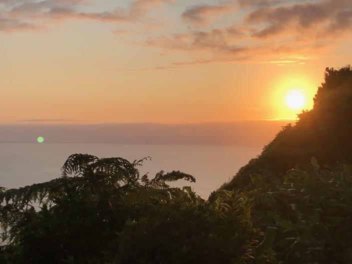 Image No.25-1 Bed Cottage for sale