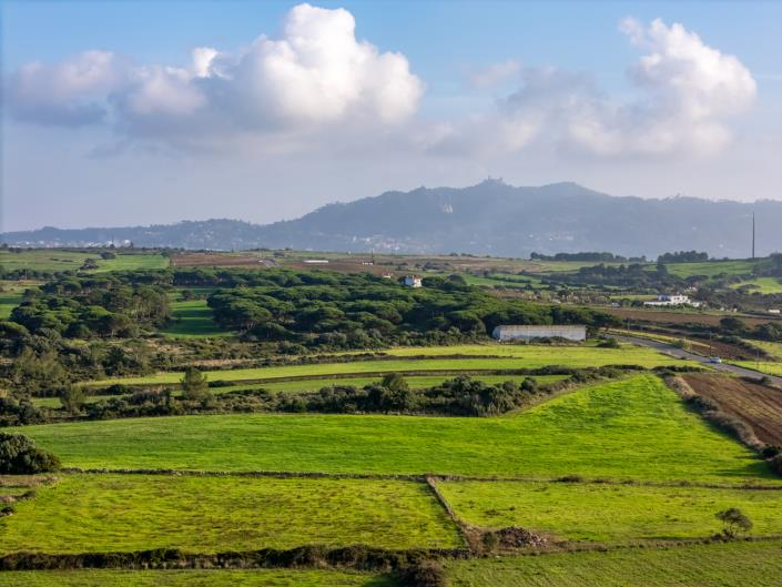 Image No.25-3 Bed House/Villa for sale