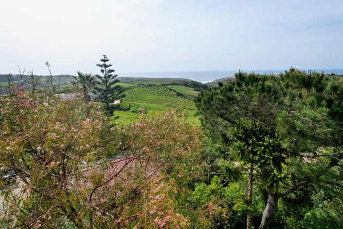 Image No.30-4 Bed House/Villa for sale