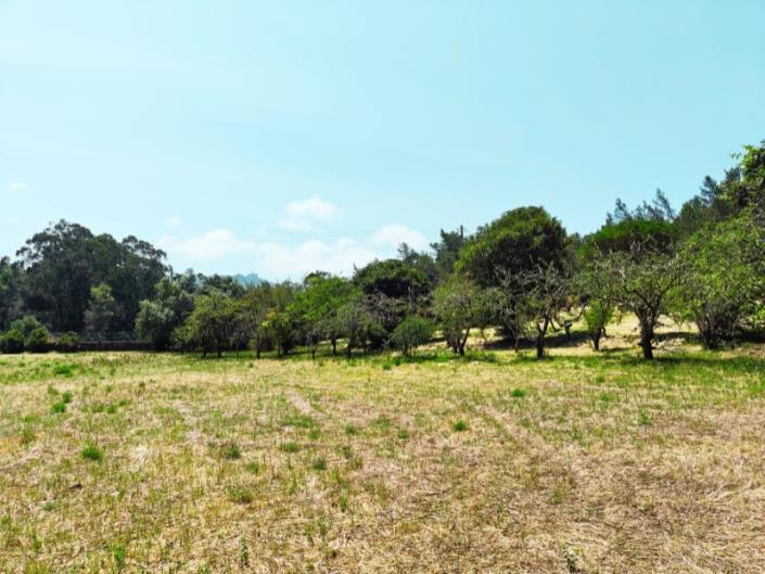 Image No.41-5 Bed Country House for sale