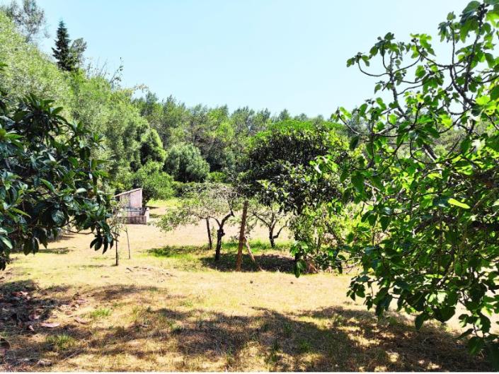 Image No.40-5 Bed Country House for sale