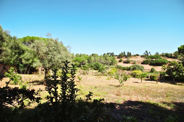 Image No.37-5 Bed Country House for sale