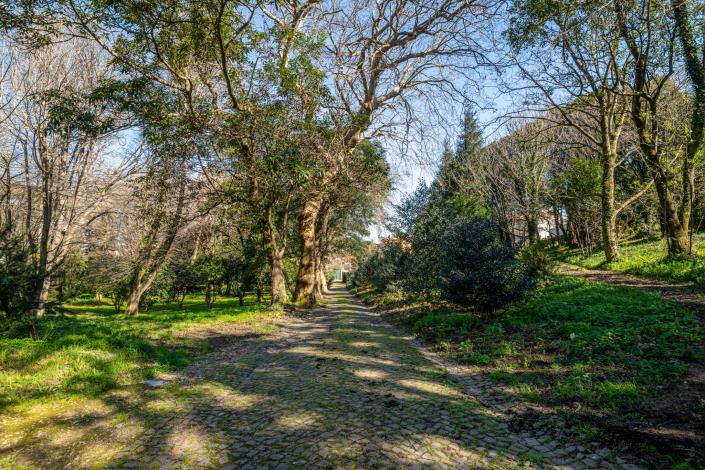 Image No.6-32 Bed Mansion for sale