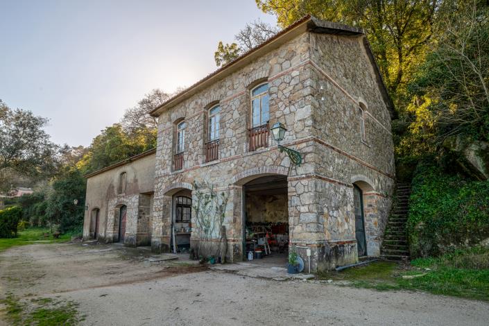 Image No.8-32 Bed Mansion for sale