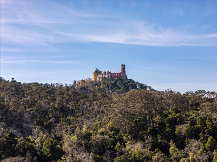 Image No.32-32 Bed Mansion for sale