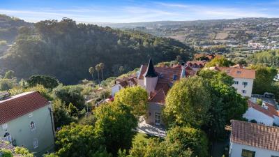 Engel_Sintra-28