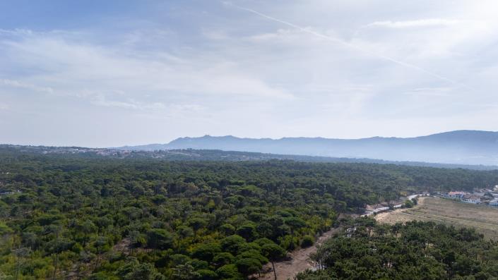 Image No.8-Land for sale