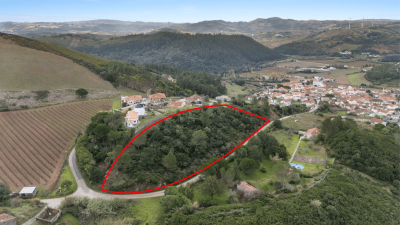 Engel_TerrenoTorresVedras-DELINED