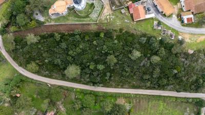 Engel_TerrenoTorresVedras-6