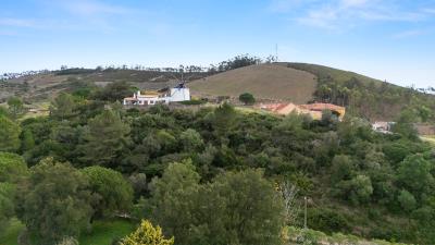 Engel_TerrenoTorresVedras-8