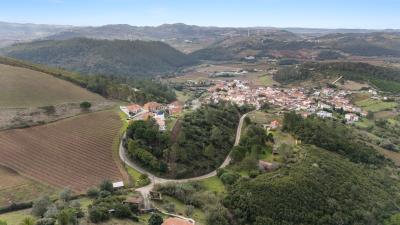 Engel_TerrenoTorresVedras-12