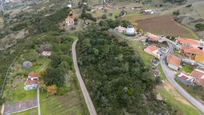 Engel_TerrenoTorresVedras-3