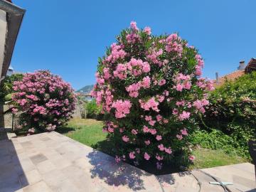 IMG_4645