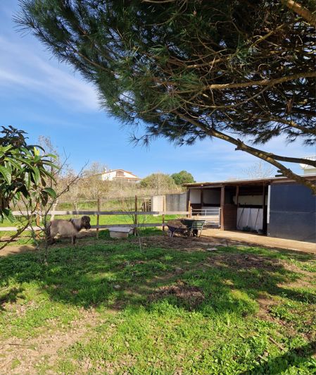 Image No.19-Villa de 5 chambres à vendre à Bombarral