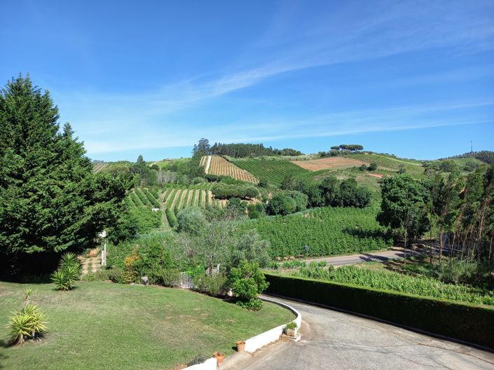 Image No.15-Villa de 4 chambres à vendre à Caldas da Rainha