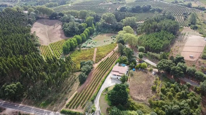 Image No.16-Villa de 4 chambres à vendre à Caldas da Rainha