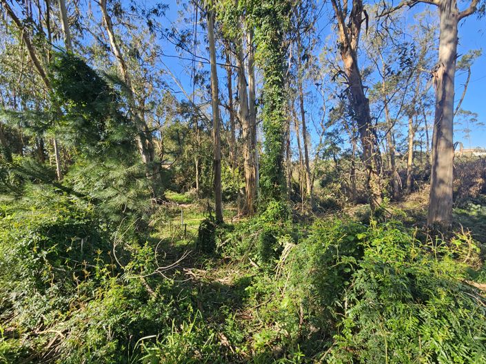 Image No.10-Plot for sale