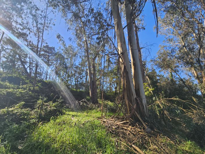 Image No.13-Plot for sale