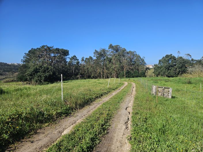 Image No.4-Plot for sale