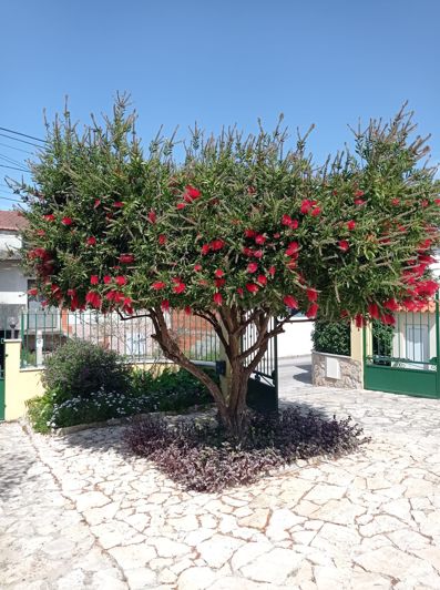 Image No.18-4 Bed Villa for sale