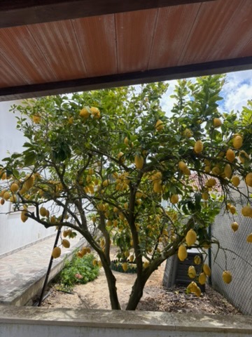 Image No.17-3 Bed Villa for sale