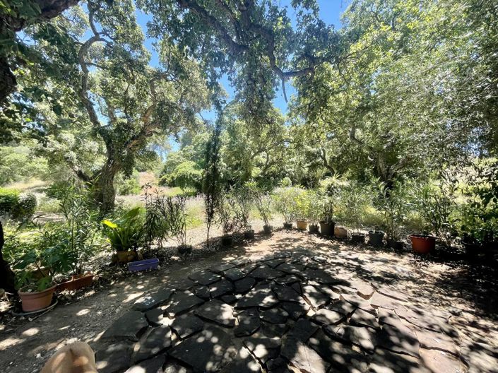 Image No.6-5 Bed Property for sale