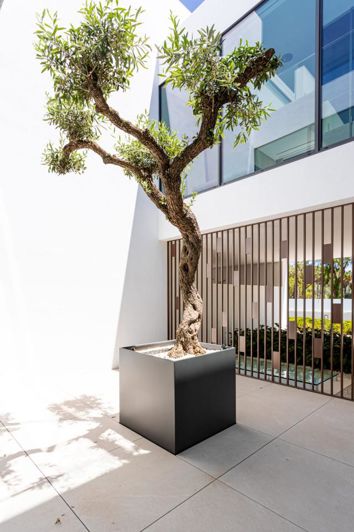 Image No.7-Propriété de 3 chambres à vendre à Marbella