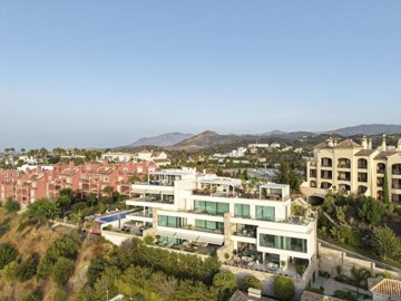 4182921-3e118011