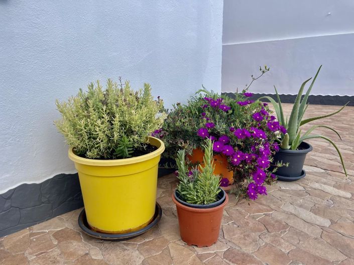 Image No.46-4 Bed Property for sale