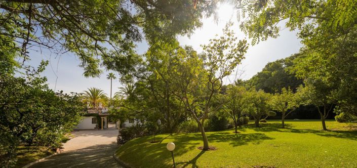 Image No.18-Propriété de 6 chambres à vendre à Estepona