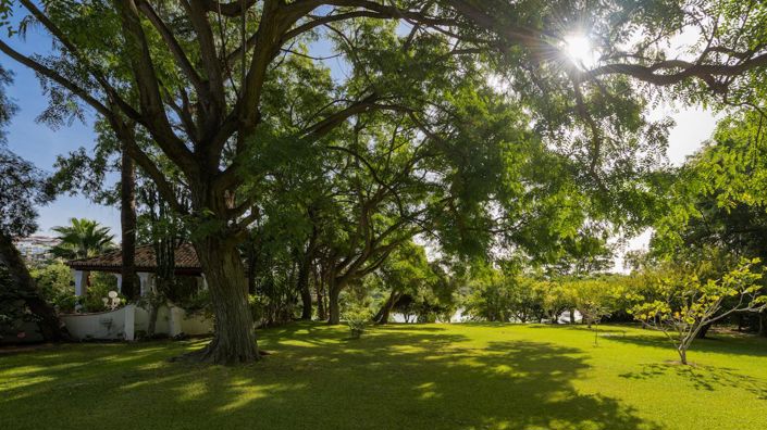 Image No.19-Propriété de 6 chambres à vendre à Estepona