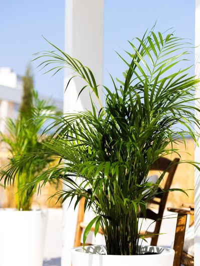 Image No.27-3 Bed Property for sale