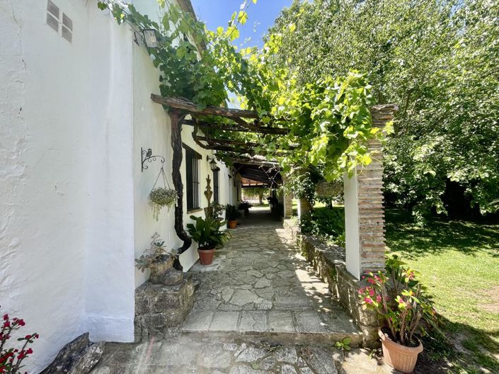 Image No.8-Propriété de 5 chambres à vendre à Jimena de la Frontera