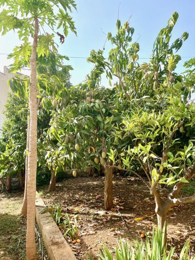 Image No.22-3 Bed Property for sale