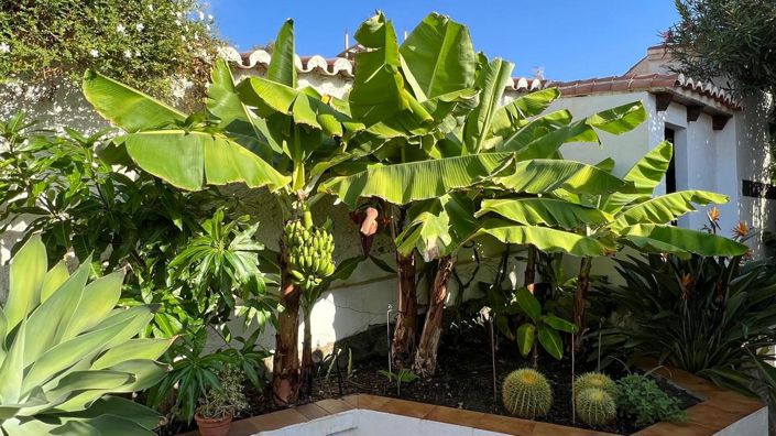 Image No.29-Propriété de 3 chambres à vendre à Almuñécar