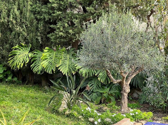 Image No.5-Propriété de 3 chambres à vendre à Almuñécar